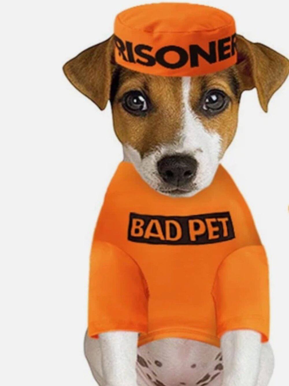 Prisoner Pet Costume Prisoner Halloween Costume for Small Dogs Cats (X-Large)